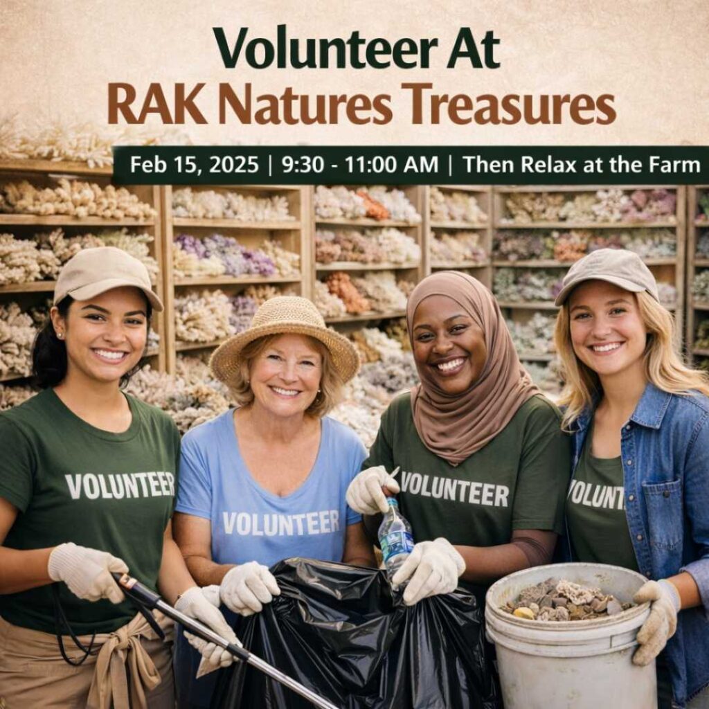 Ladies Volunteering event RAK