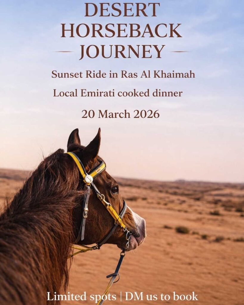 Horseback Desert Experience