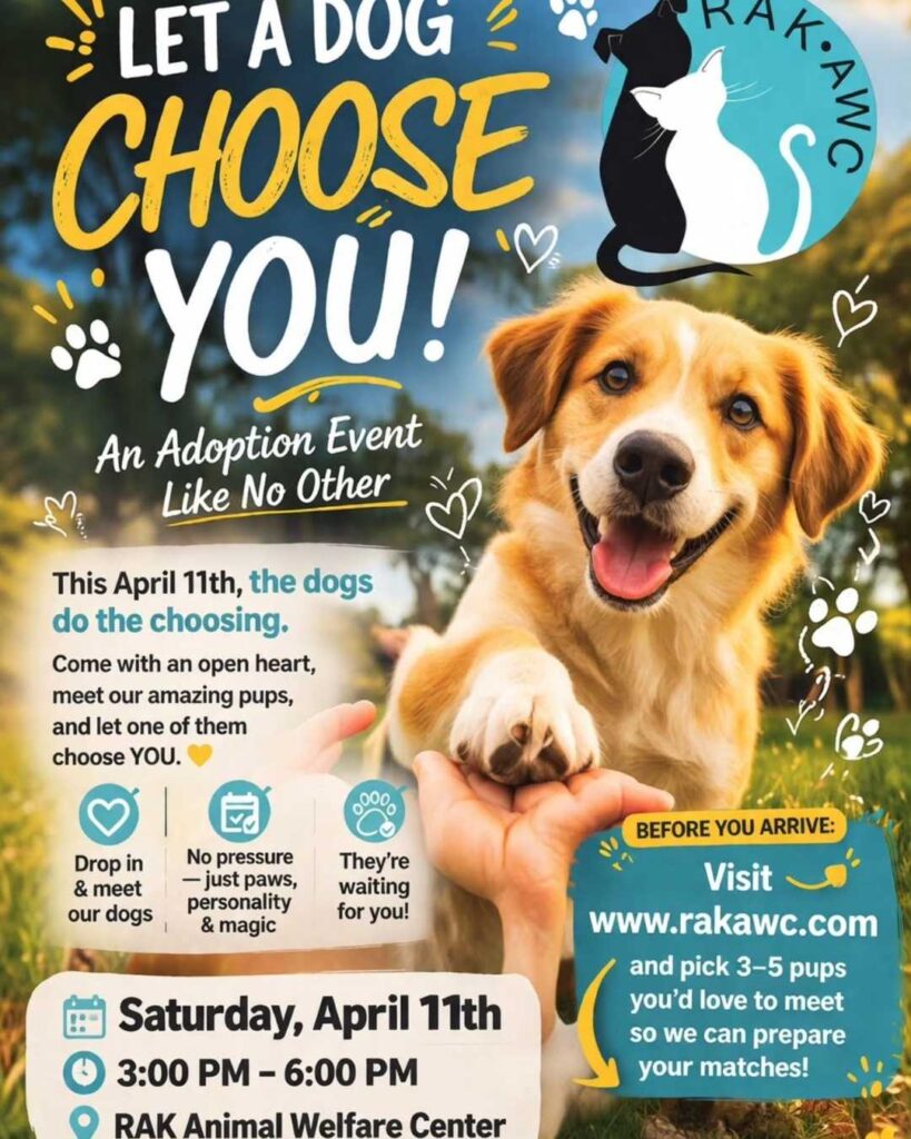 RAK Dog Adoption Day